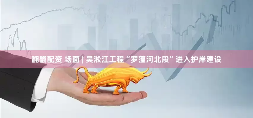 翻翻配资 场面 | 吴淞江工程“罗蕰河北段”进入护岸建设