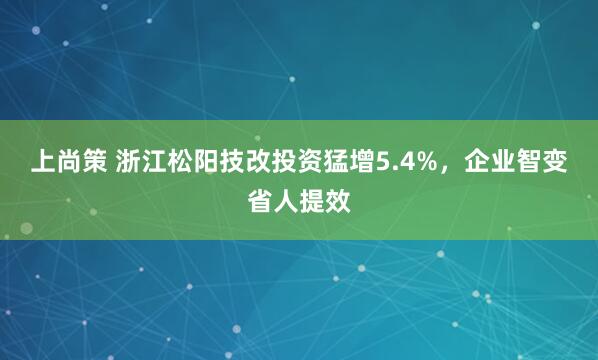 上尚策 浙江松阳技改投资猛增5.4%，企业智变省人提效