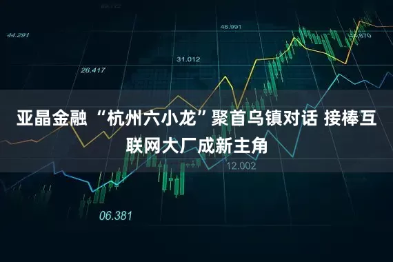 亚晶金融 “杭州六小龙”聚首乌镇对话 接棒互联网大厂成新主角